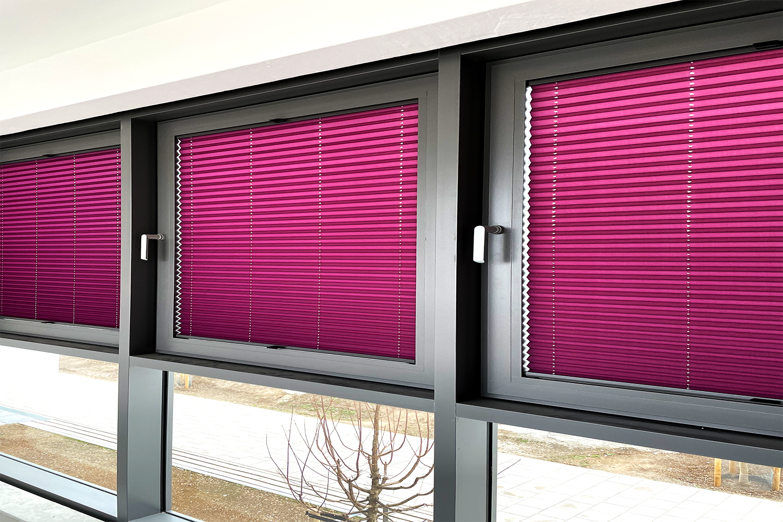 Pink pleated blinds on windows